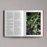 Edible Garden