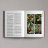 Edible Garden
