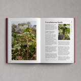 Edible Garden