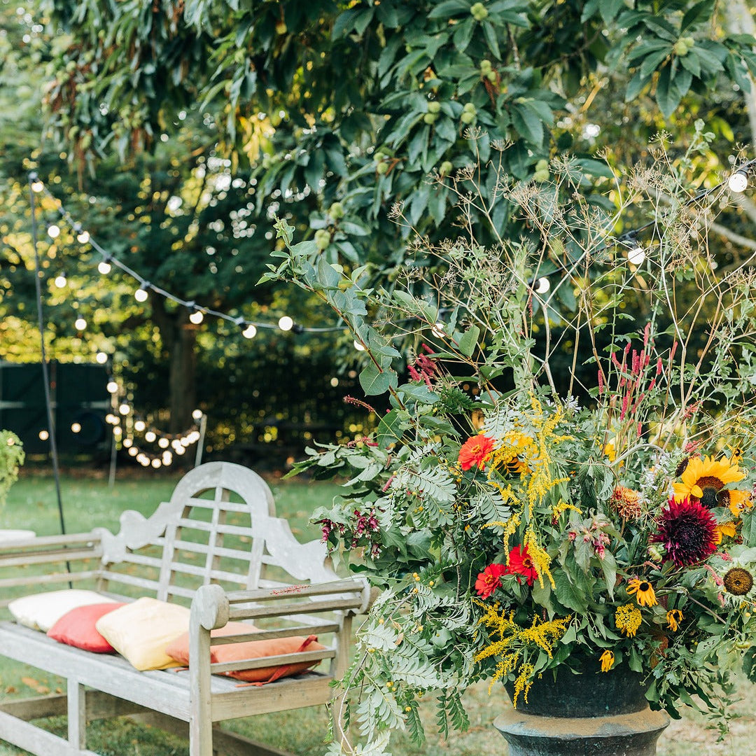 How to give your garden a late-summer glow up