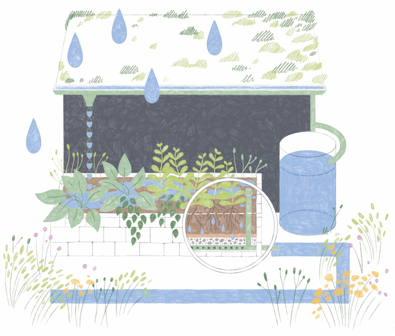 How to save rainwater