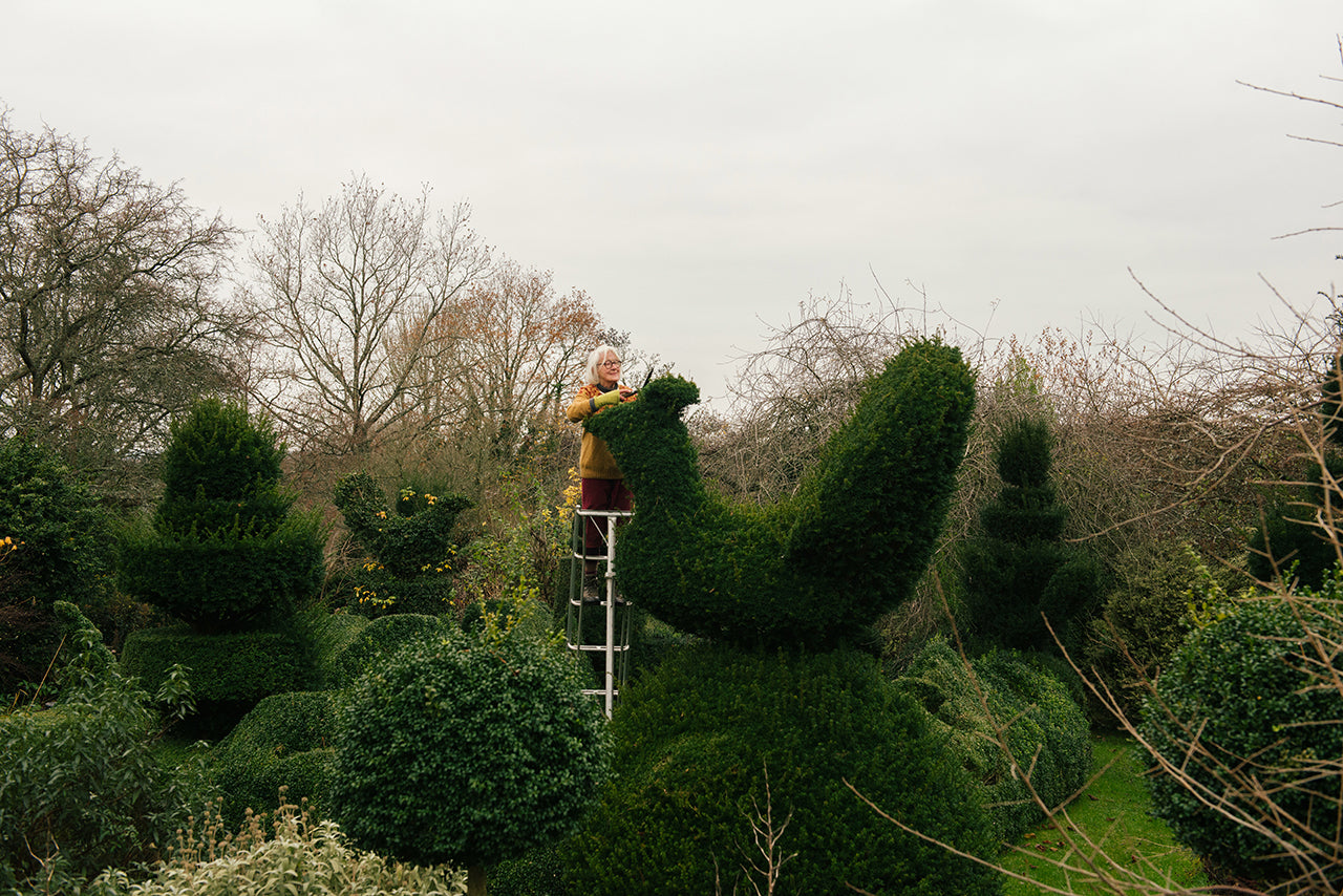 Topiary is back in vogue