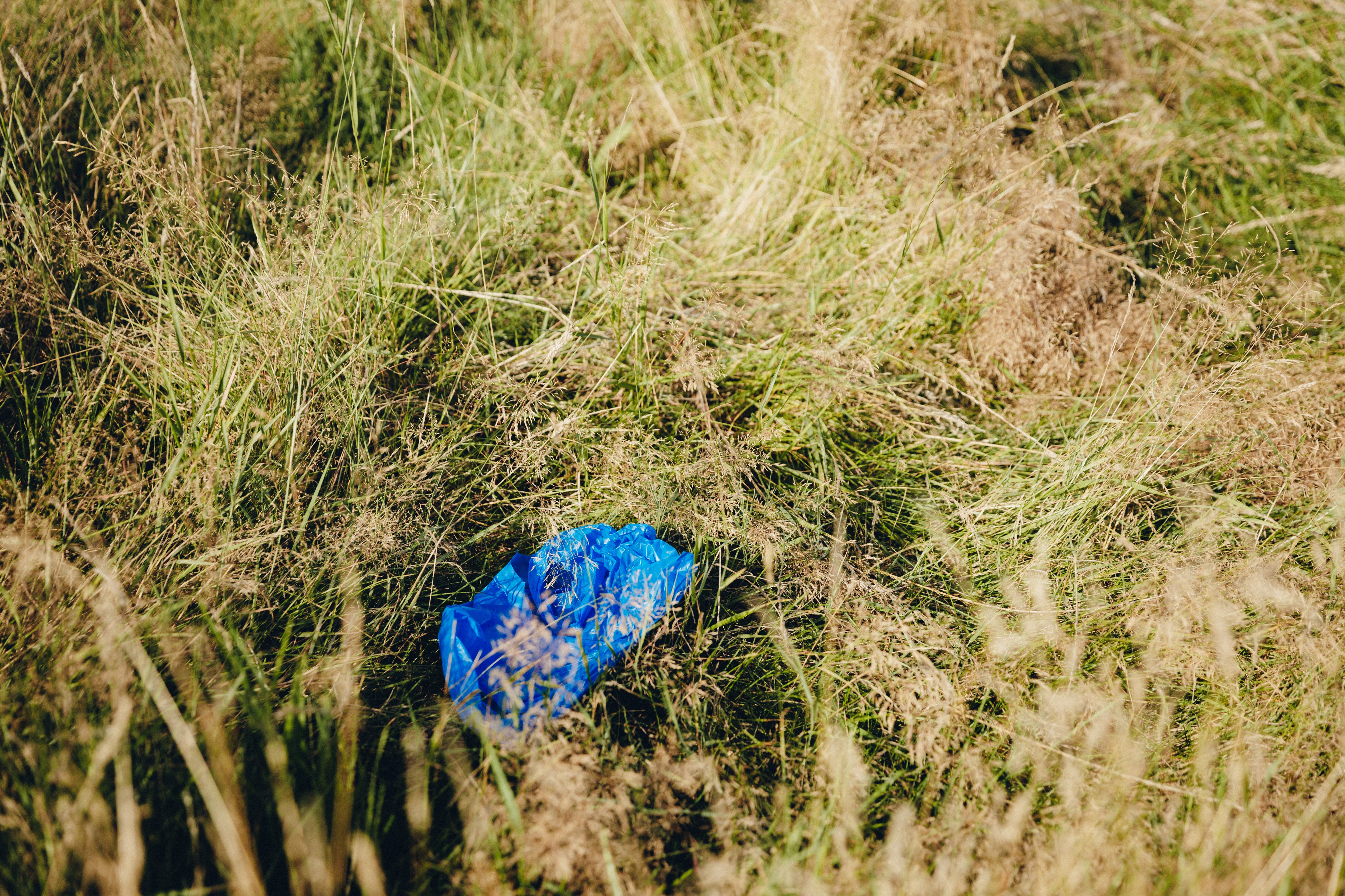 Would you pick up someone else's trash?