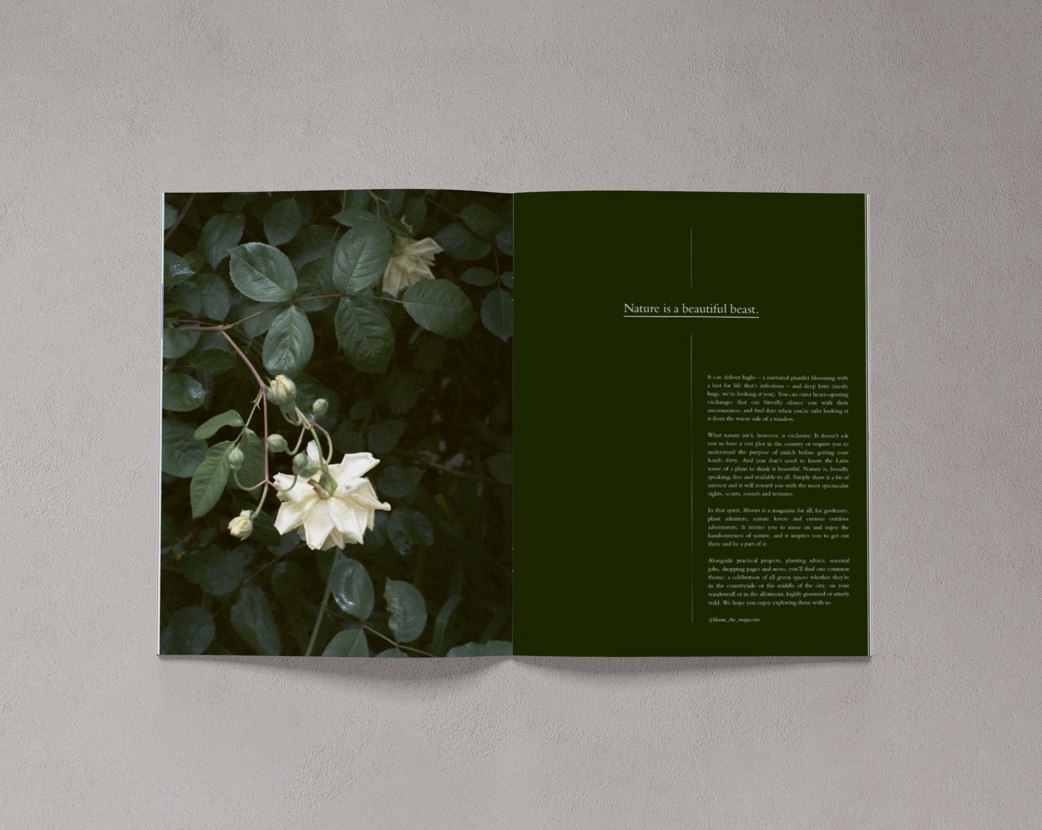 Bloom Forward Issue 1 – Autumn 2018 – Bloom