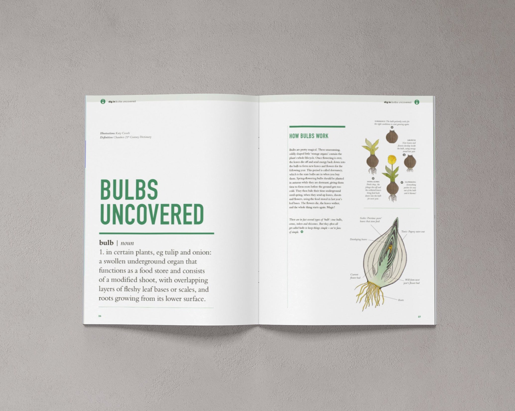 Bloom Forward Issue 1 – Autumn 2018 – Bloom